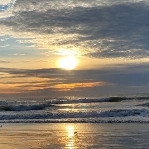 Meet your Posher, Suzy